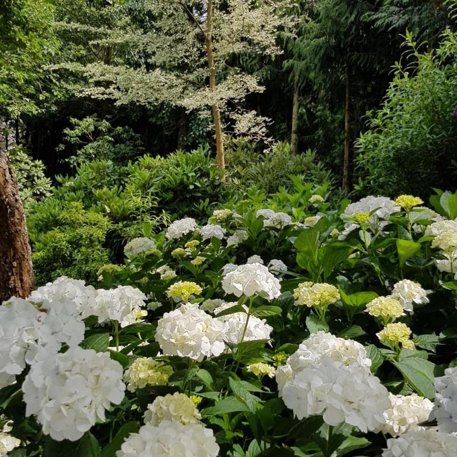 فيلا Oxfordفي Ribblesdale Gardens Barn المظهر الخارجي الصورة